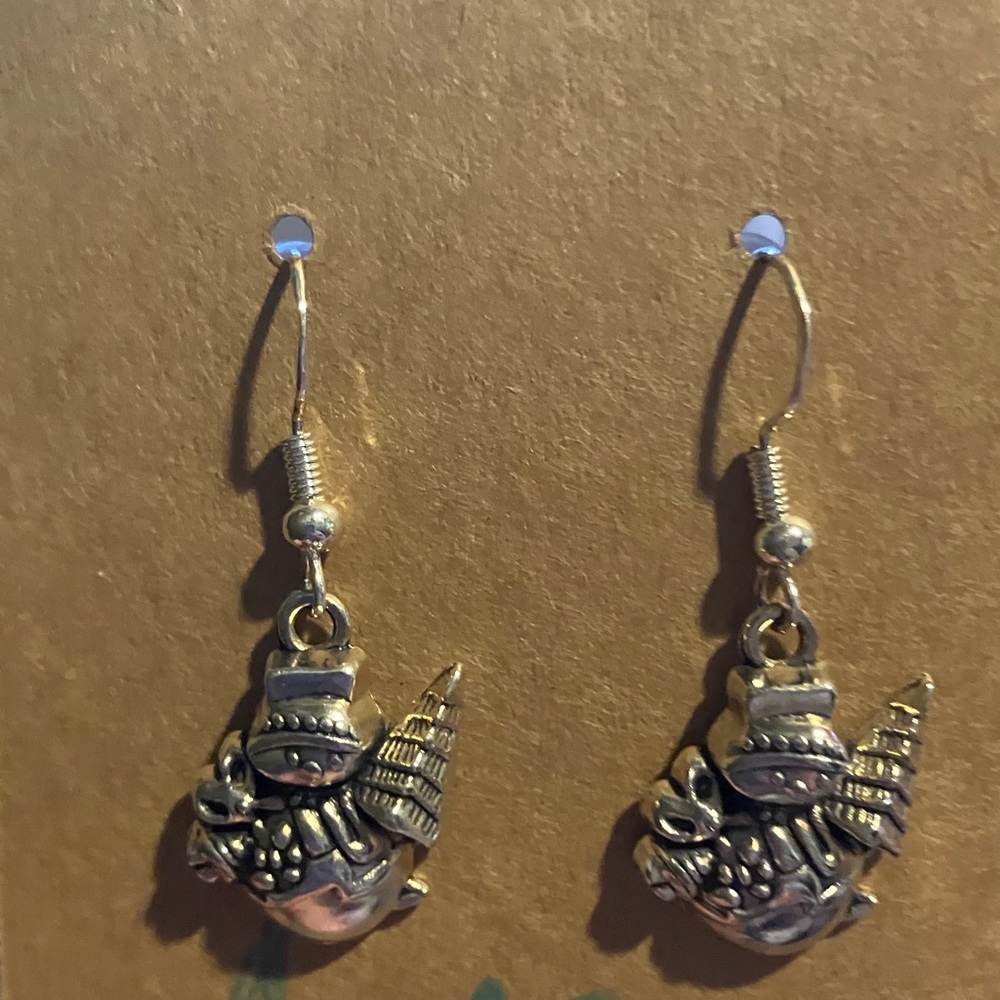 Silver Fish Hook Earrings